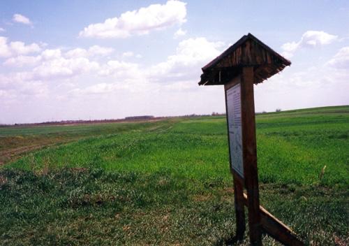 golya
